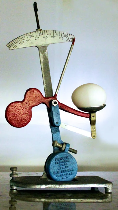 Silvey Estate Sales-Egg-scale-blog.jpg