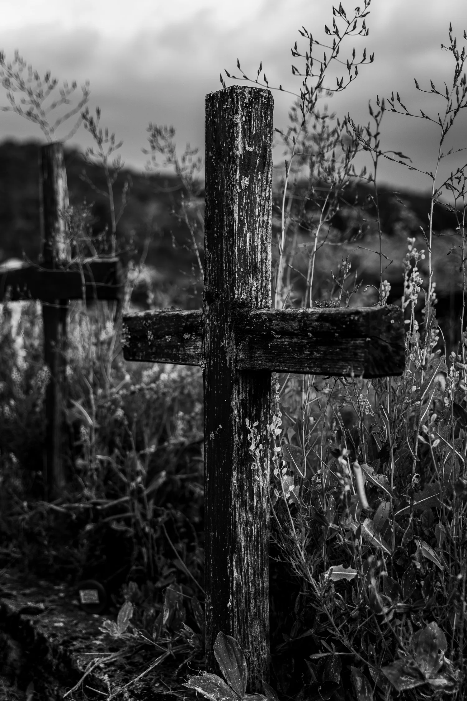 Audio: Ash Wednesday episode artwork