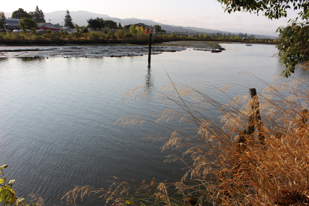 Peaceful Napa River along Riverside Drive in Napa