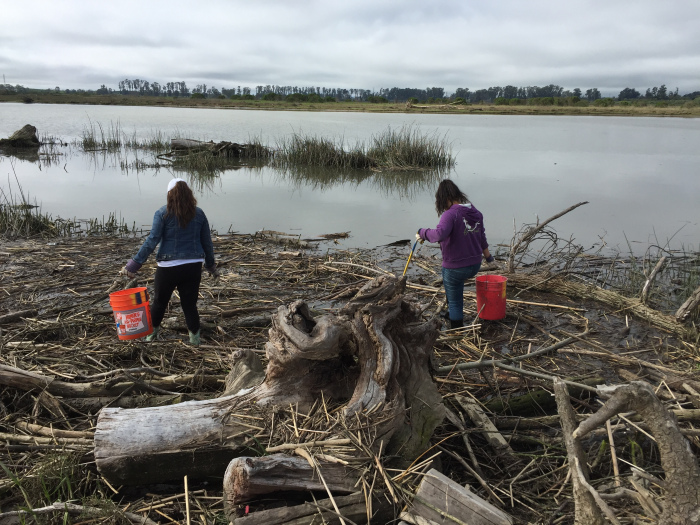 Napa Youth Stewardship members help clean up litter along the Napa River in Kennedy Park. 2016