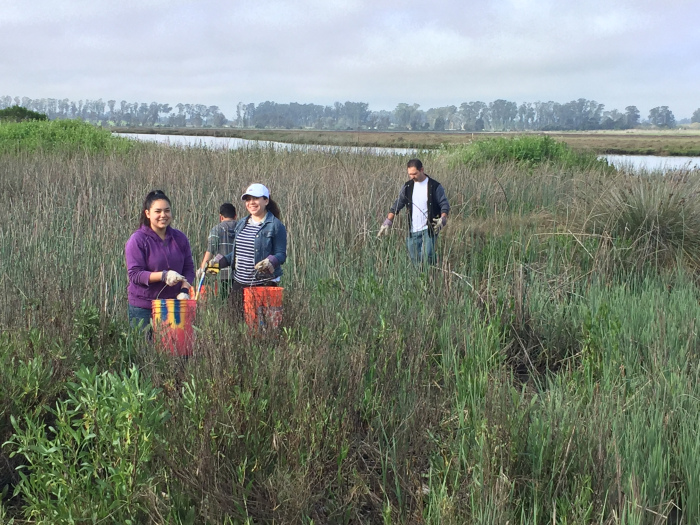 Napa Youth Stewardship members help clean up trash along the Napa River in Kennedy Park