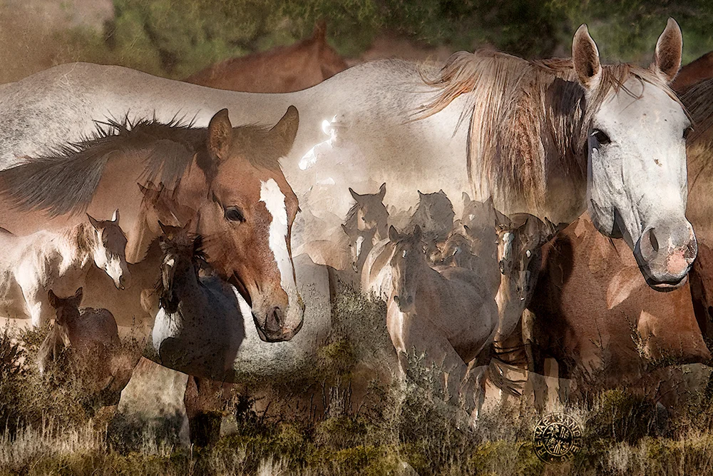 "Our Life" by Renae Sandberg