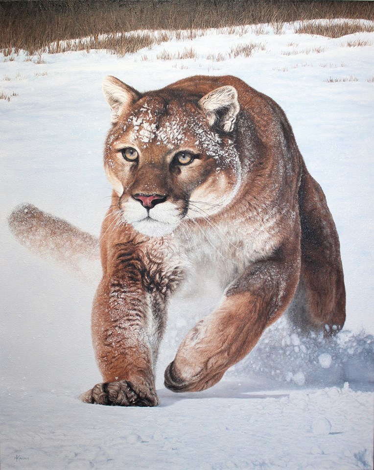 Animal Manifest Magic COUGAR_IN_THE_SNOW_24x30OIL_HOLLY_KAVONIC