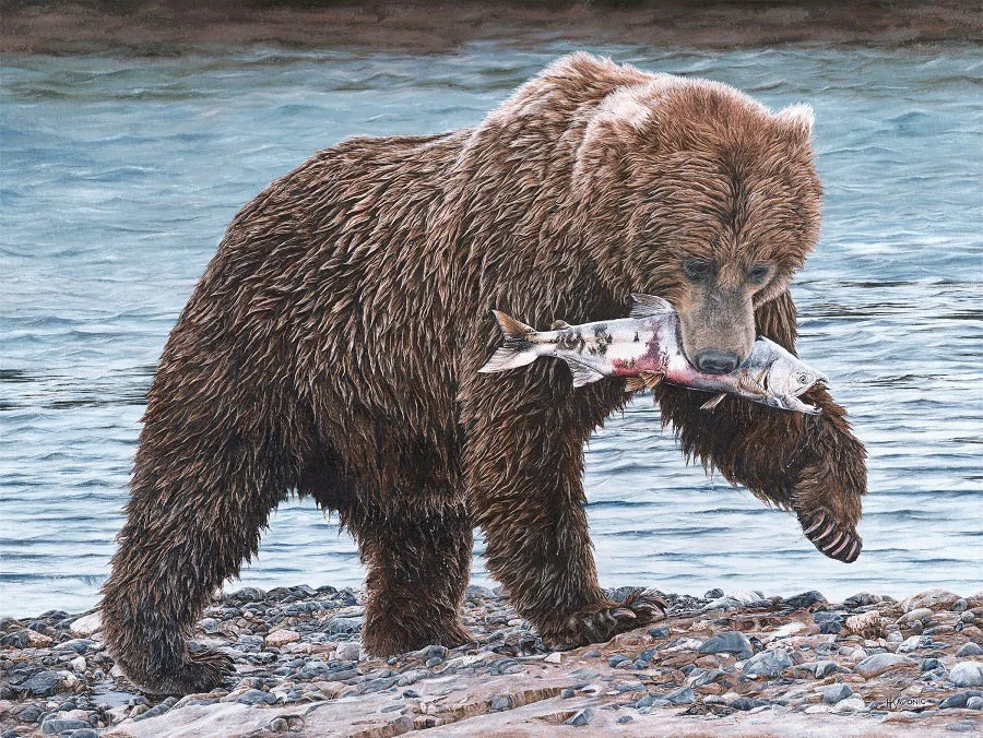 "Salmon for Lunch" by Holly Kavonic