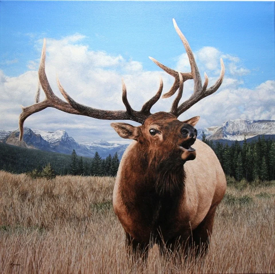 "Eyes of the Wild" by Holly Kavonic