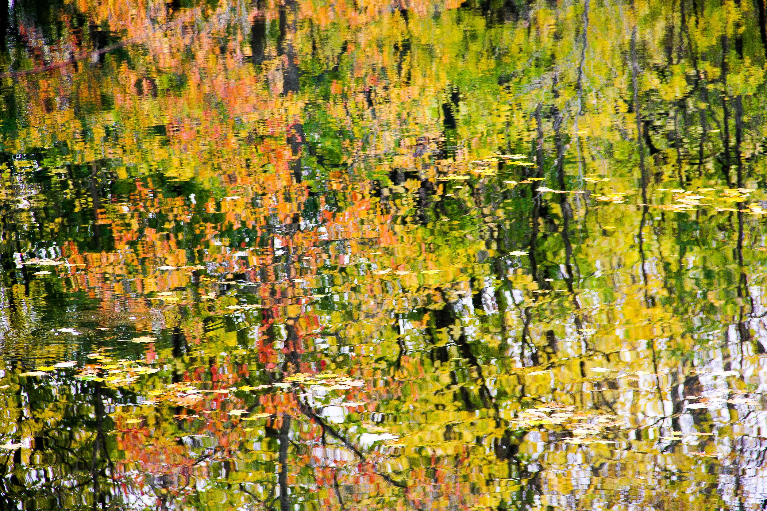 "Autumn Waters" by Leslie Timmerman