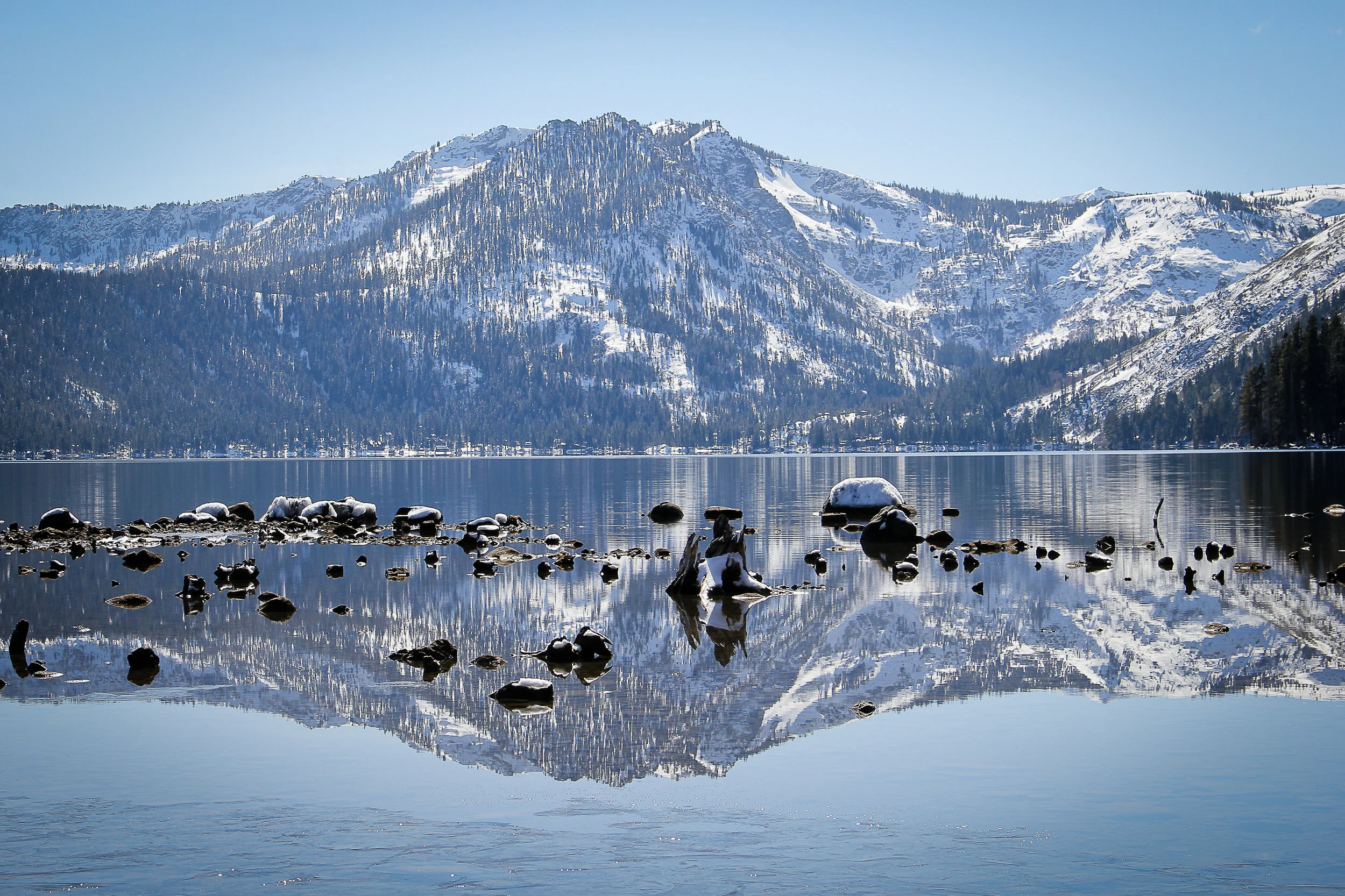 "Fallen Leaf Reflections" by Leslie Timmerman