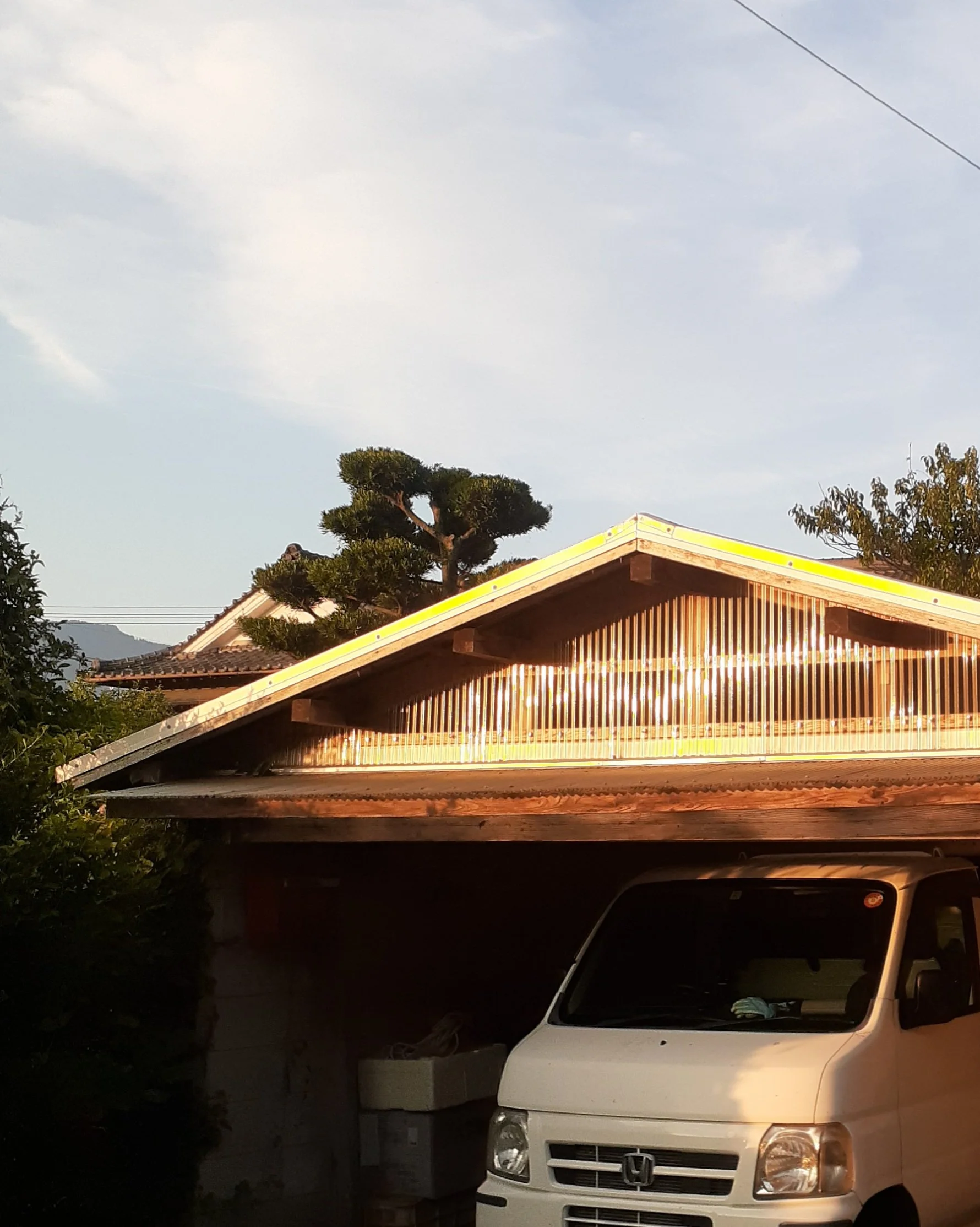 20250803_103612.jpg
