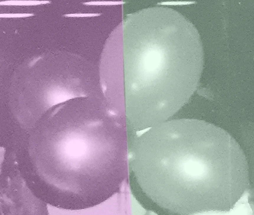 20260523_170502.jpg