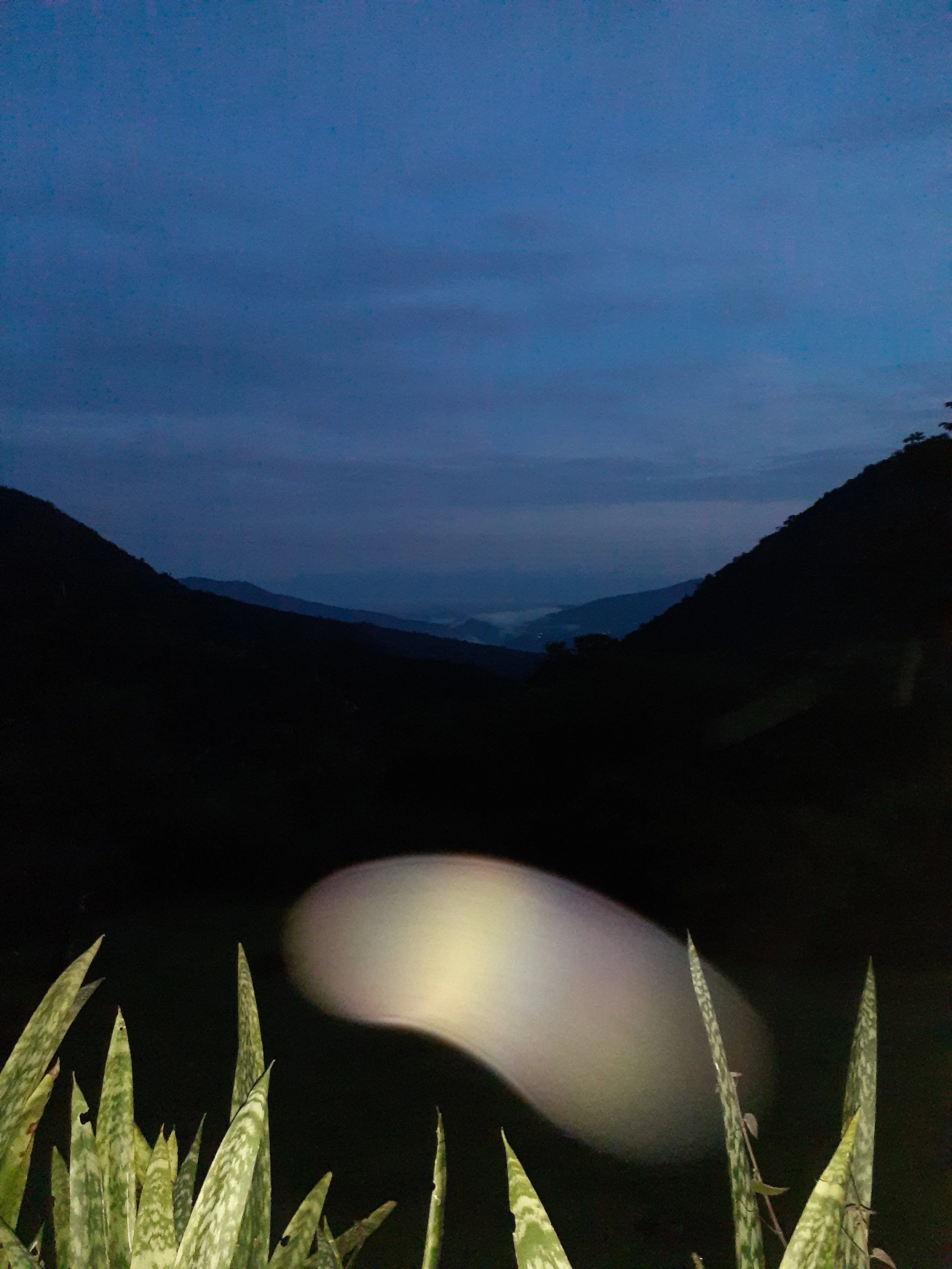 20260610_052644.jpg