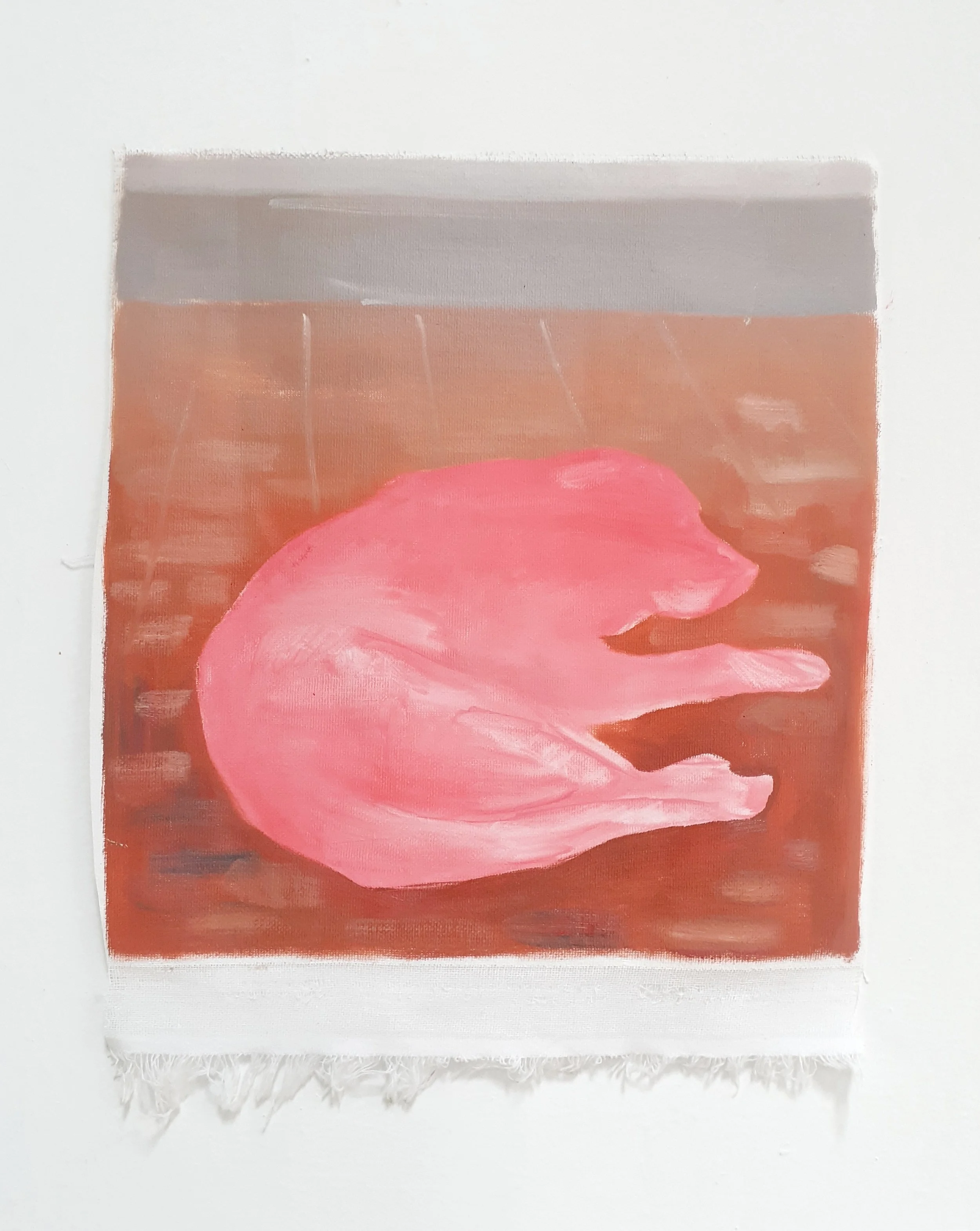 Dog (Study)