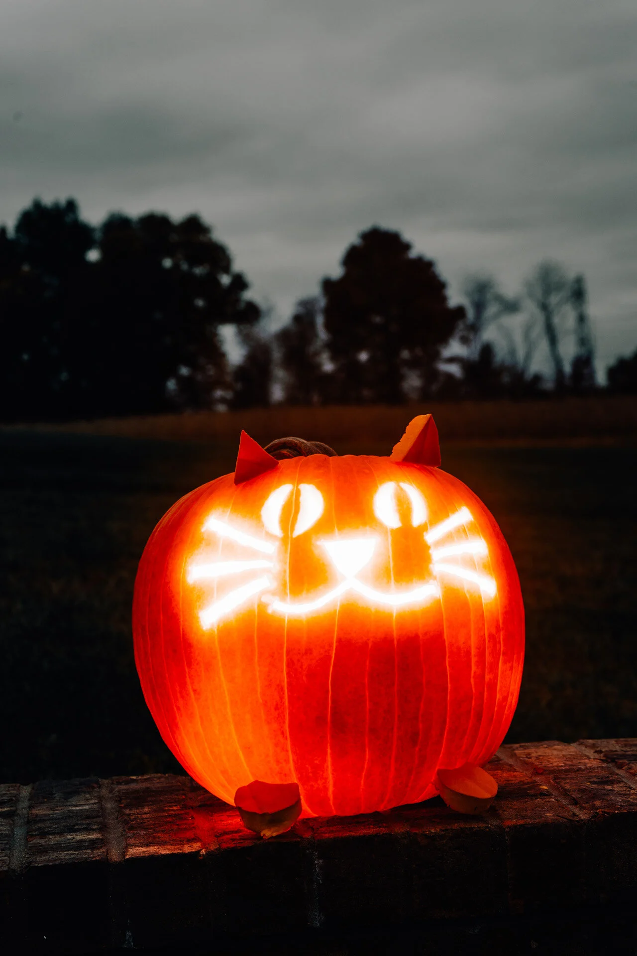 FamPumpkins2020-53.jpg