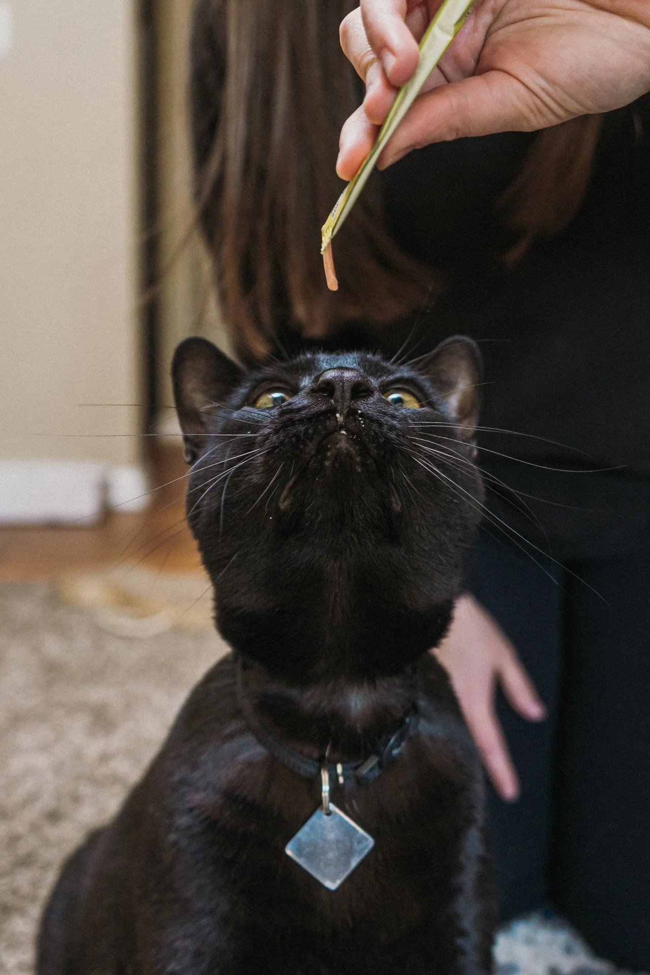 Finn and Bagheera-2.jpg