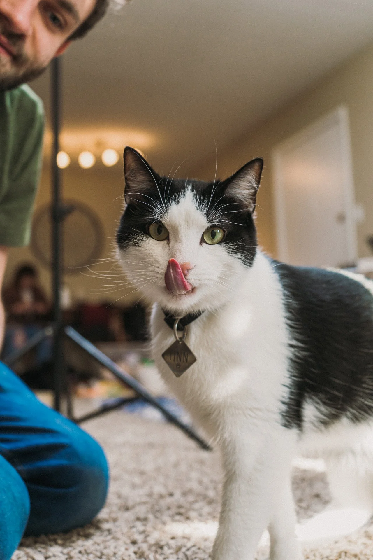 Finn and Bagheera-3.jpg