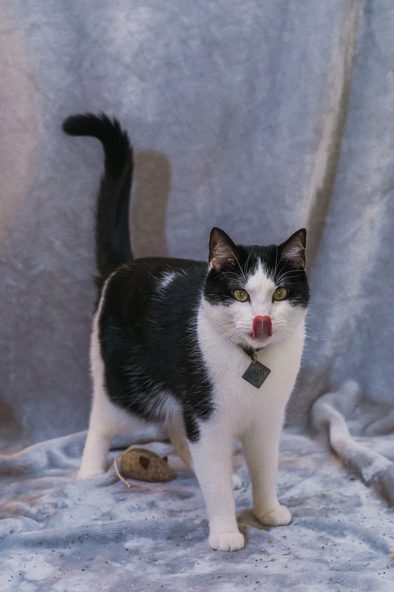 Finn and Bagheera-41.jpg