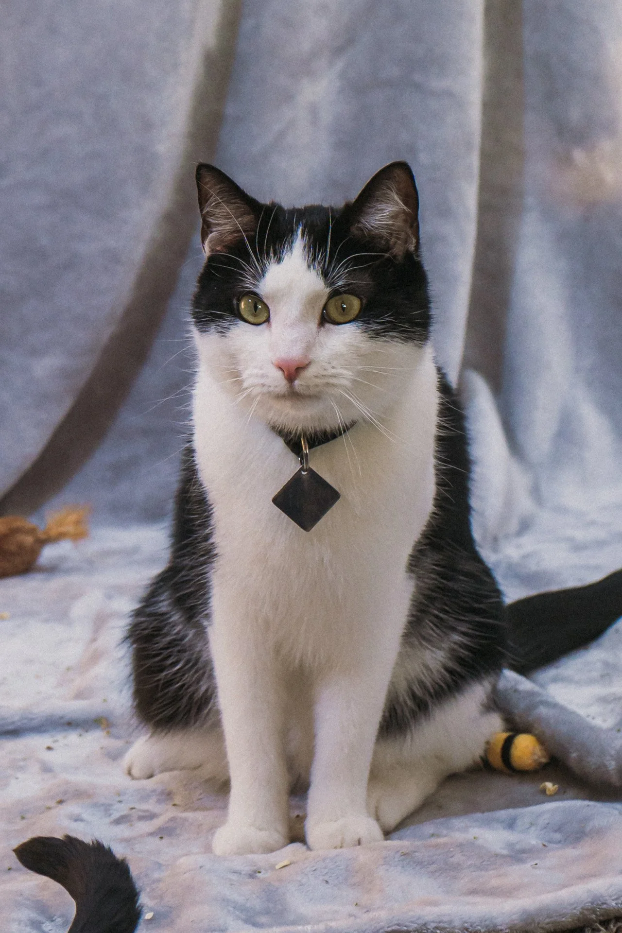 Finn and Bagheera-43.jpg