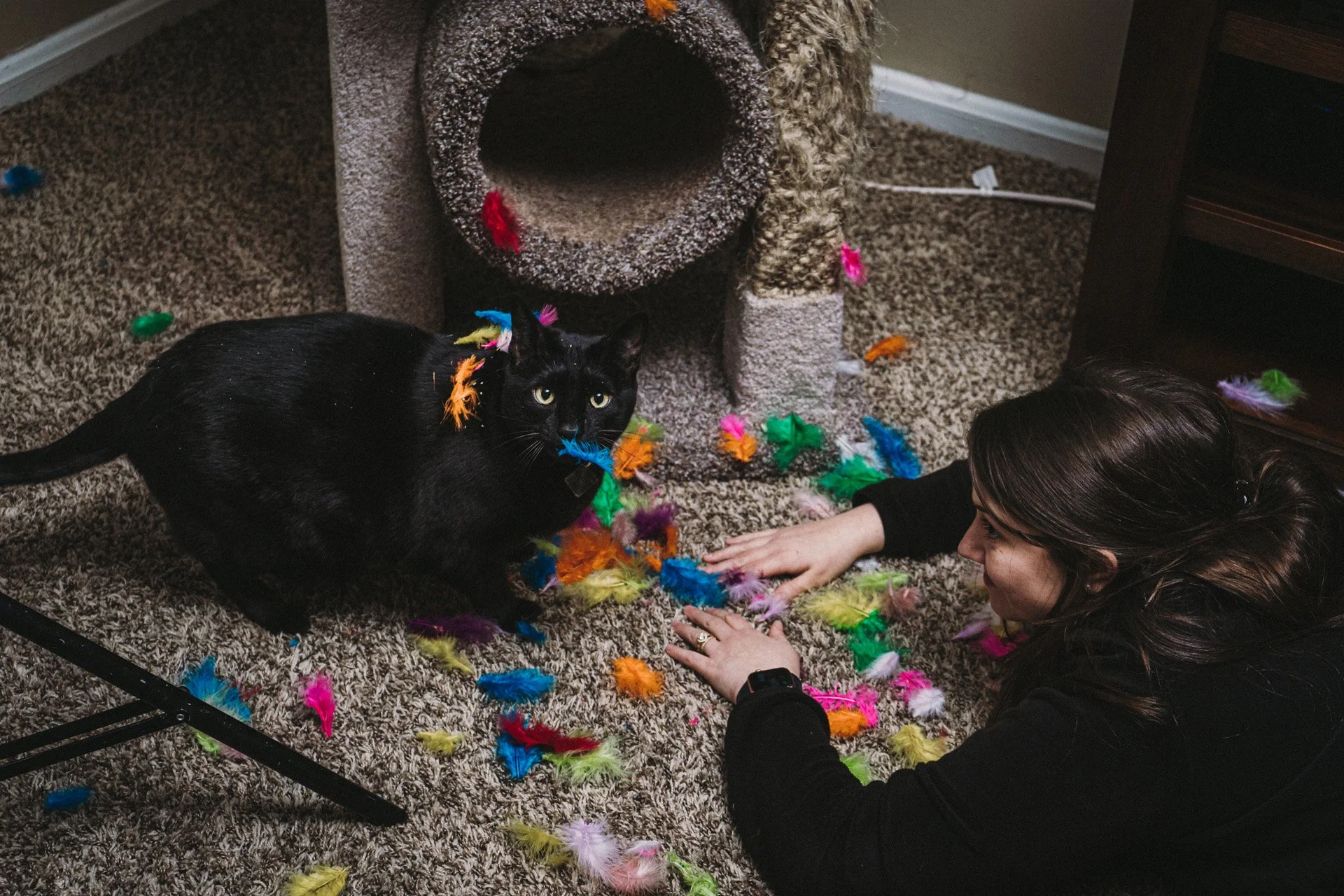 Finn and Bagheera-55.jpg