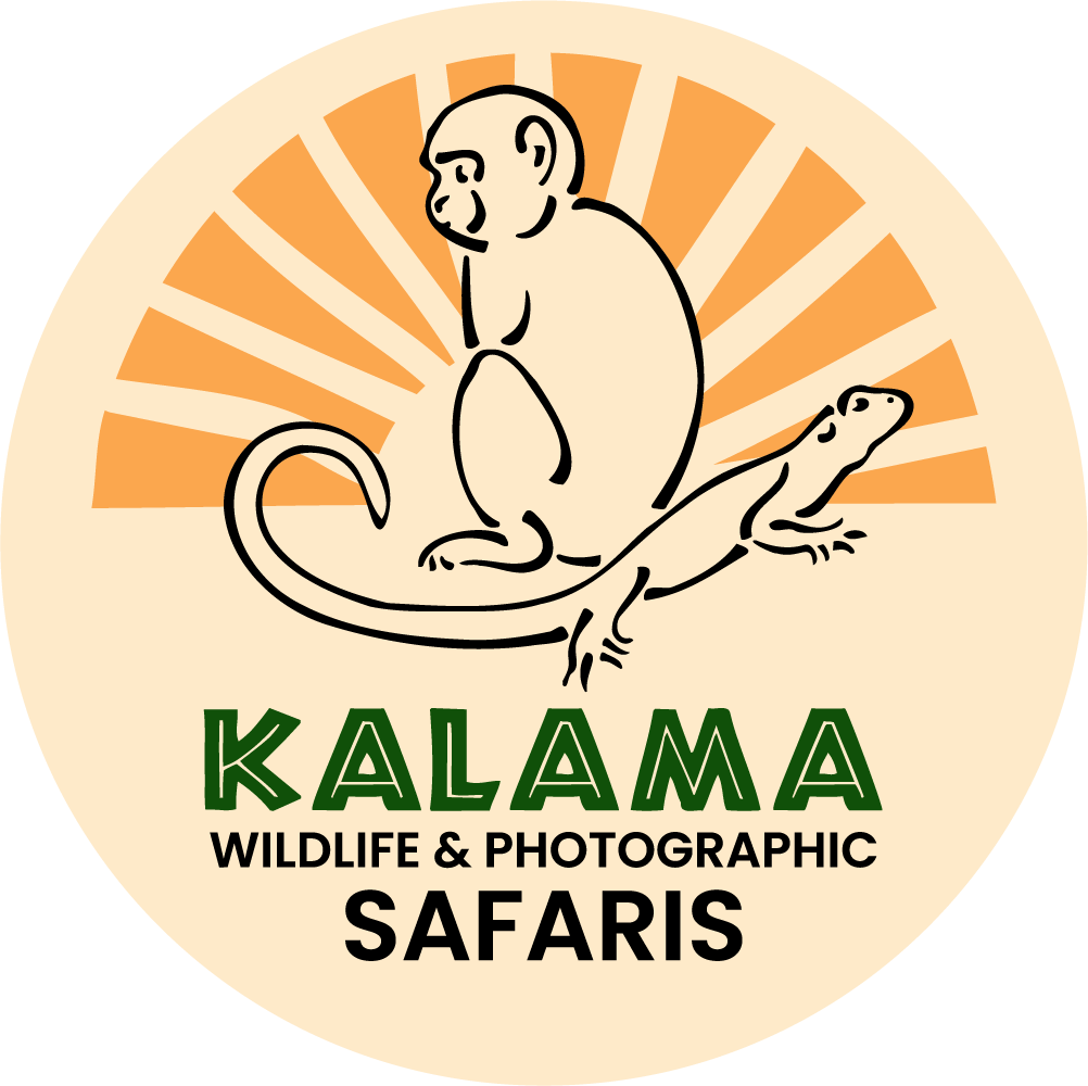 1A-Original with Background-Kalama Logo.png