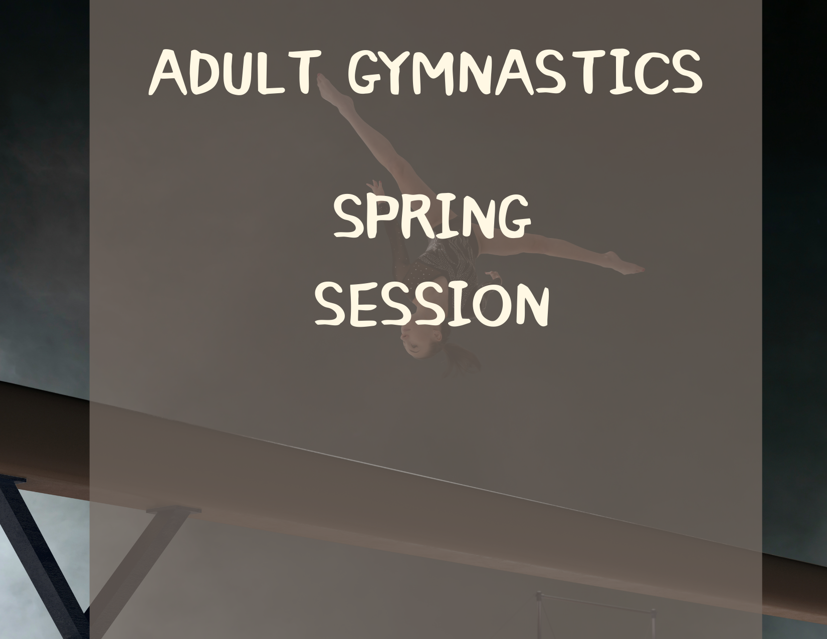 6-Week Adult Gymnastics - Spring Session