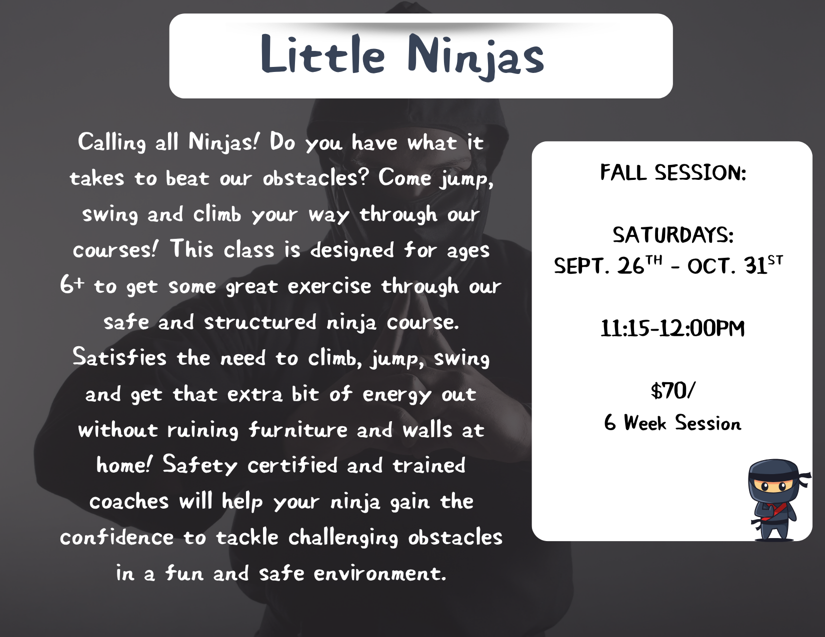Ninjas (2).png
