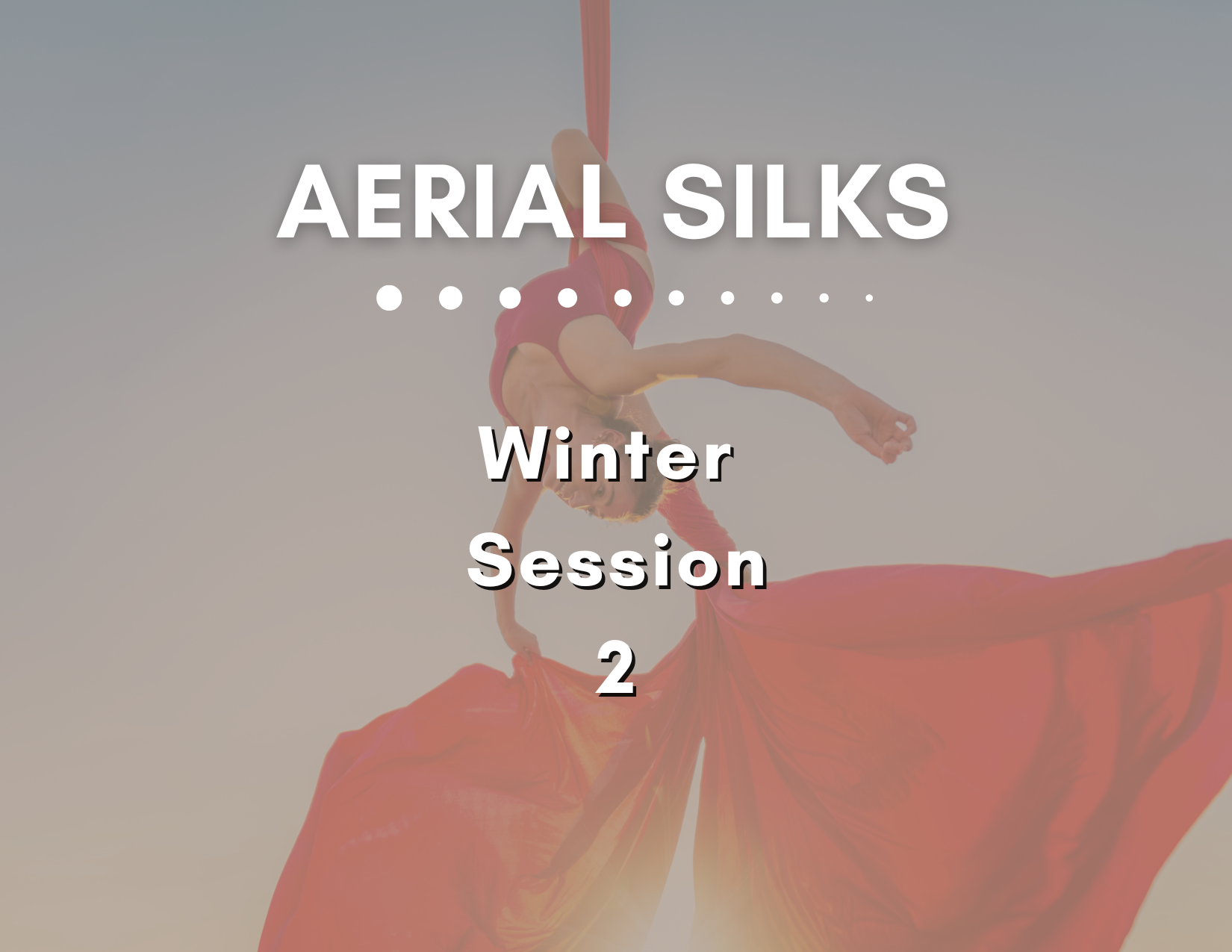 Aerial Silks - Winter Session 2