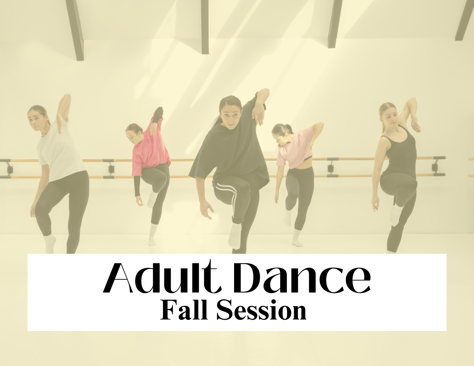 Adult Dance (1).png