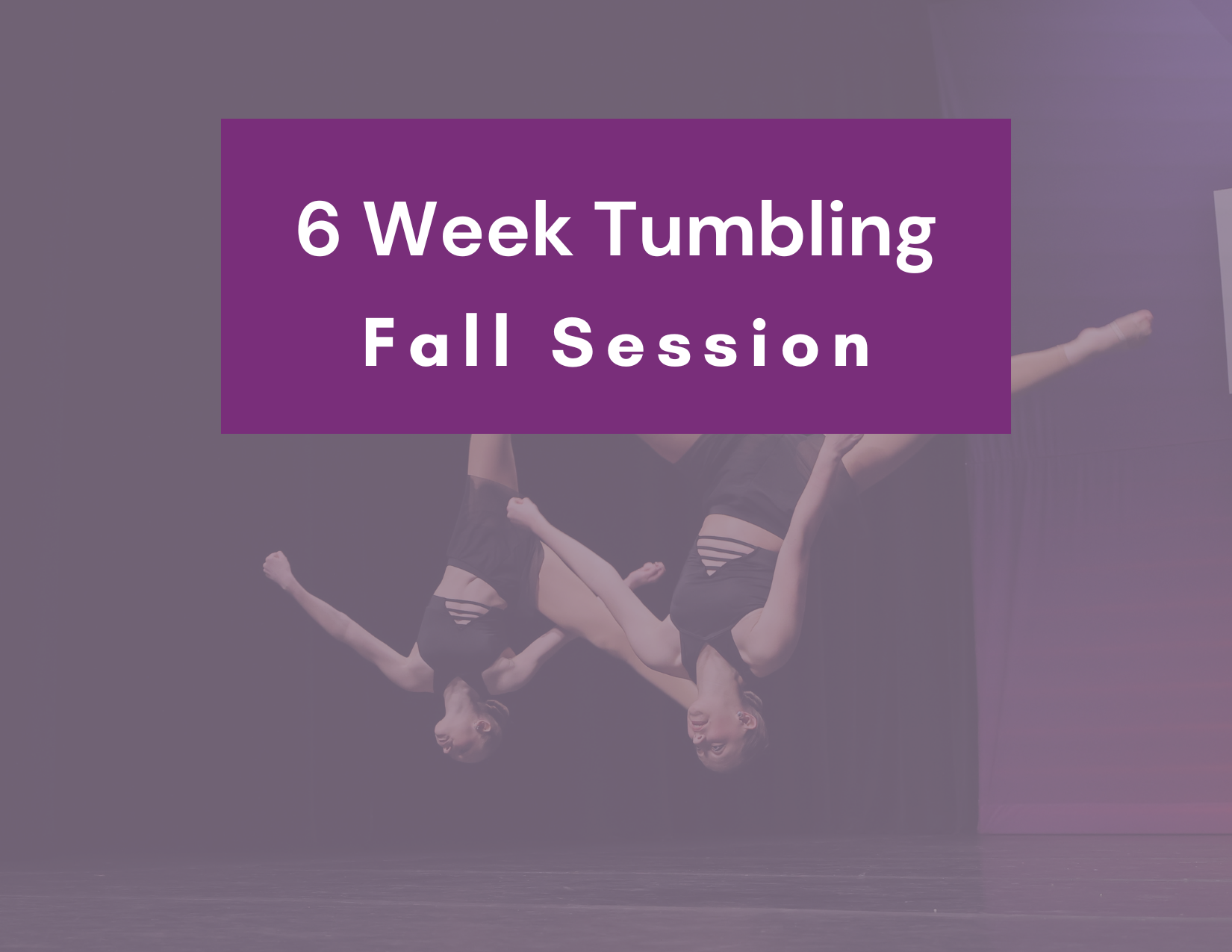 _6 week sessions  (2).png