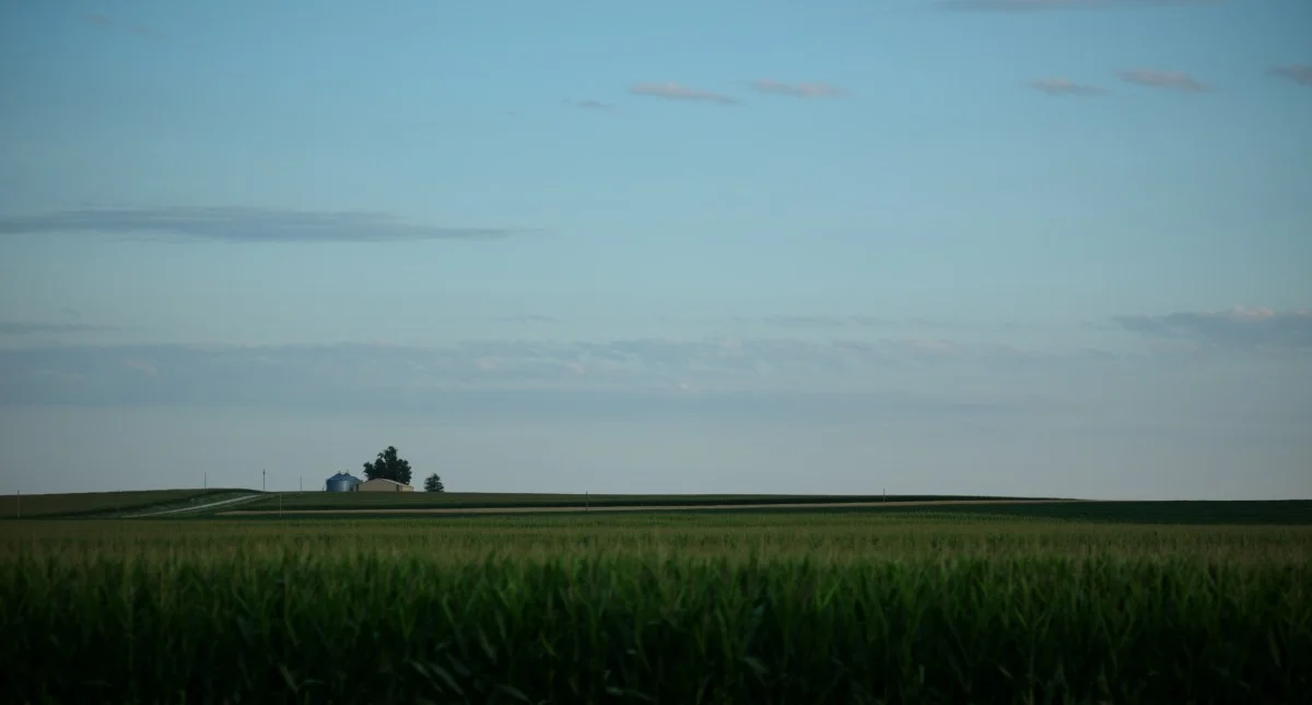 33 Variations on a Definition of Landscape