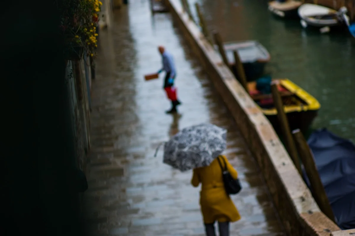 Still Life: Rome + Venice