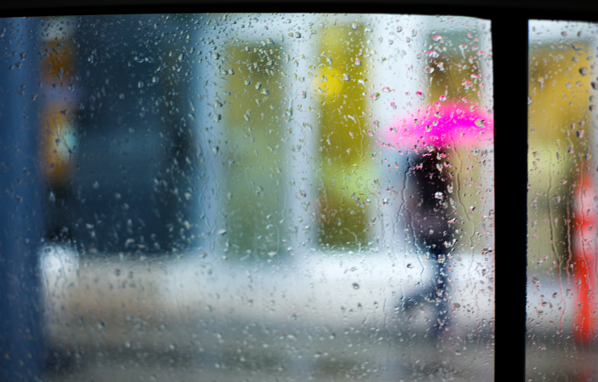 A Pink Umbrella