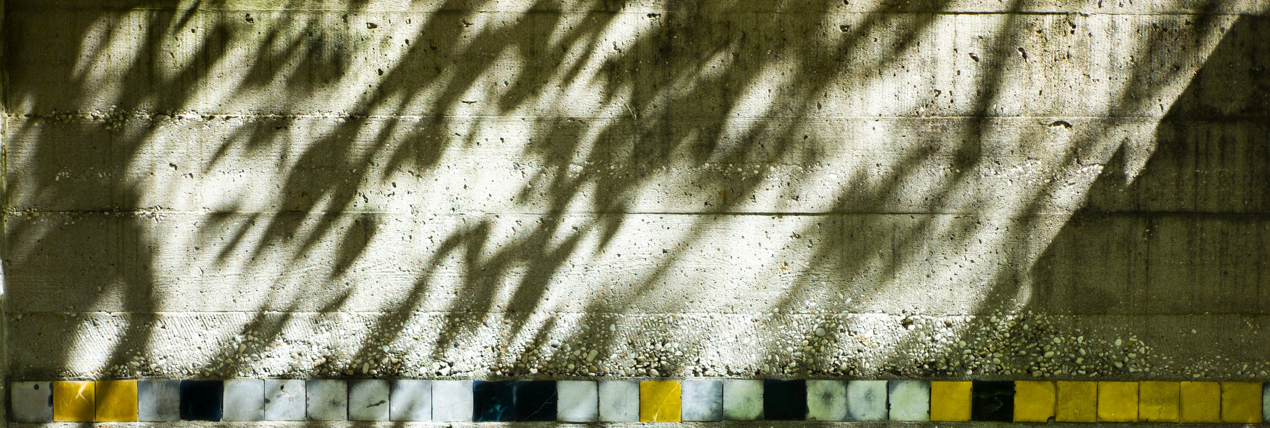 shadows | scarpa