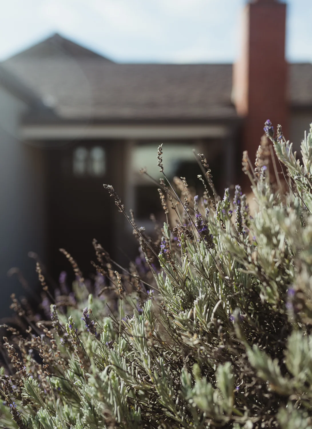 Caroline Alexander Photography | Colorado Vacation Rental Photographer | Vacation Rental | Airbnb | VRBO | c-alexander.com | Dream Home | Colorado Springs
