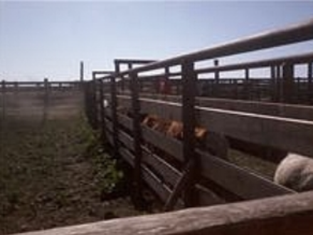 Spring Time Processing Crew