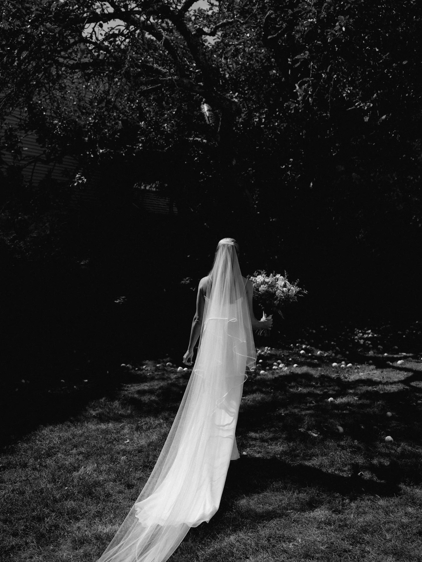 2025 in B+W ✨

I&rsquo;ve been a little quiet on here since wrapping my season, but as of this week, all 2025 galleries have been sent to their loving homes!

What a year it was. I announced the launch of this little business back in 2018, on January