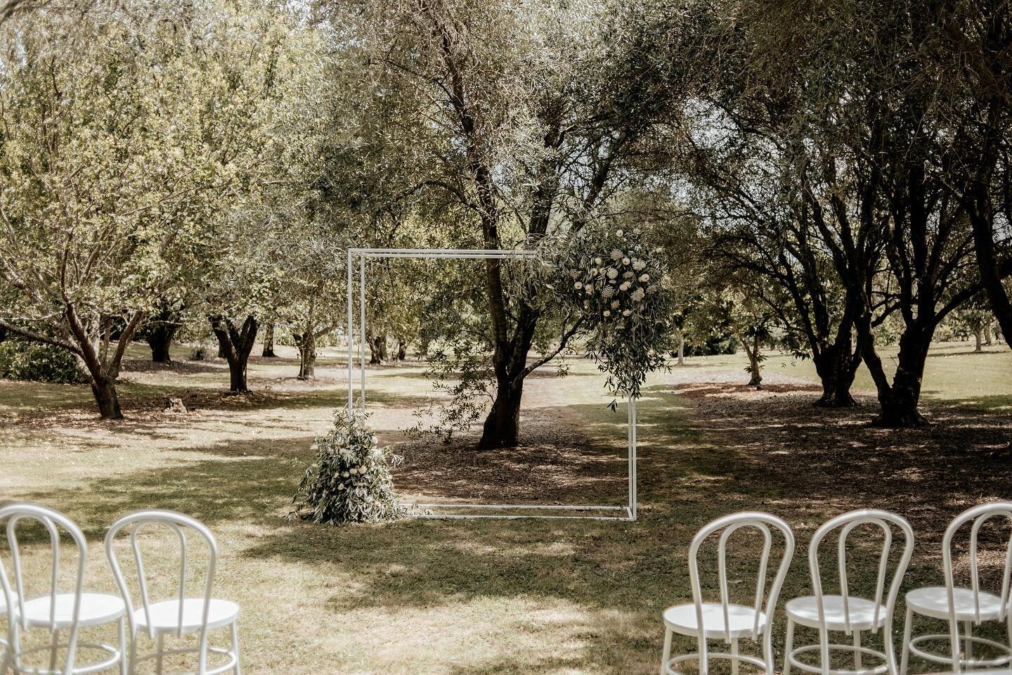 ceremony set-up among the olive trees 🫒🍃