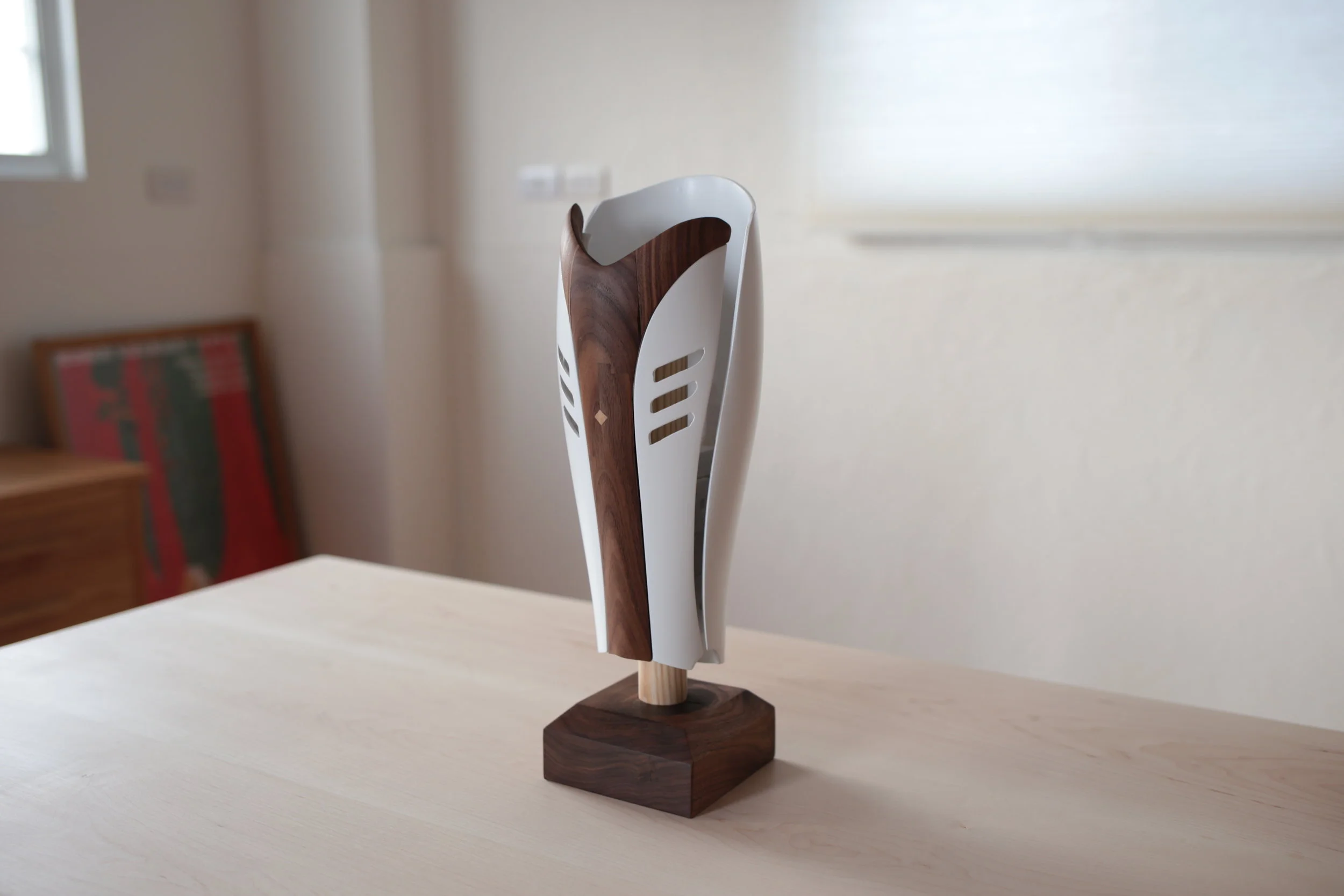 Prosthetic Shell Project