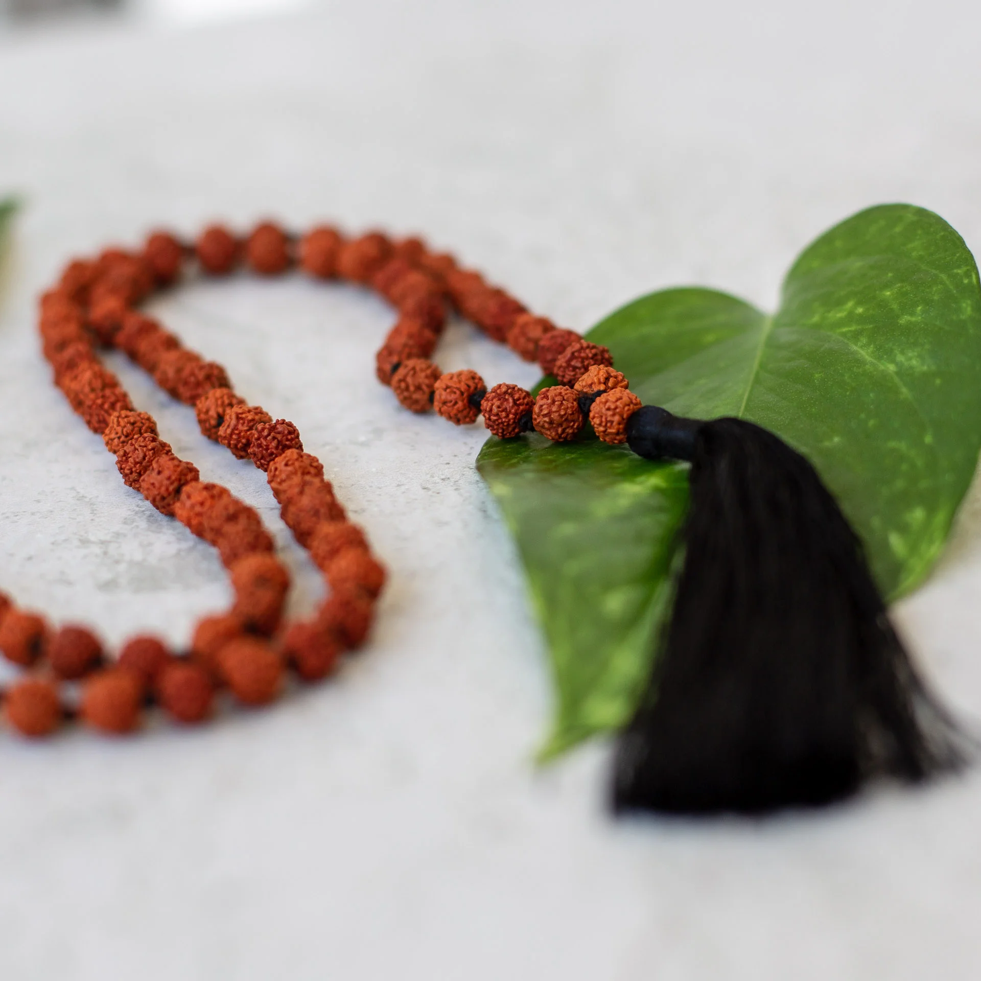 Malas_Aug18 (24 of 161).jpg
