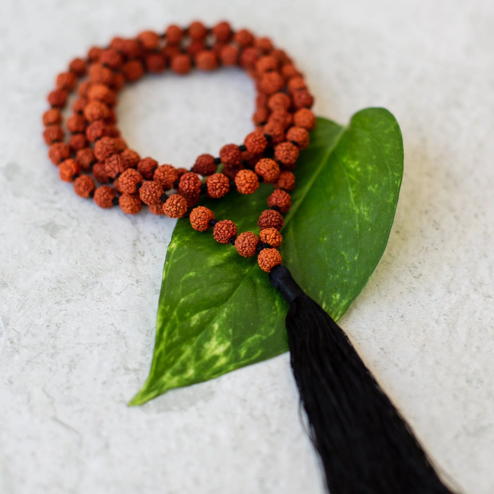 Malas_Aug18 (20 of 161).jpg