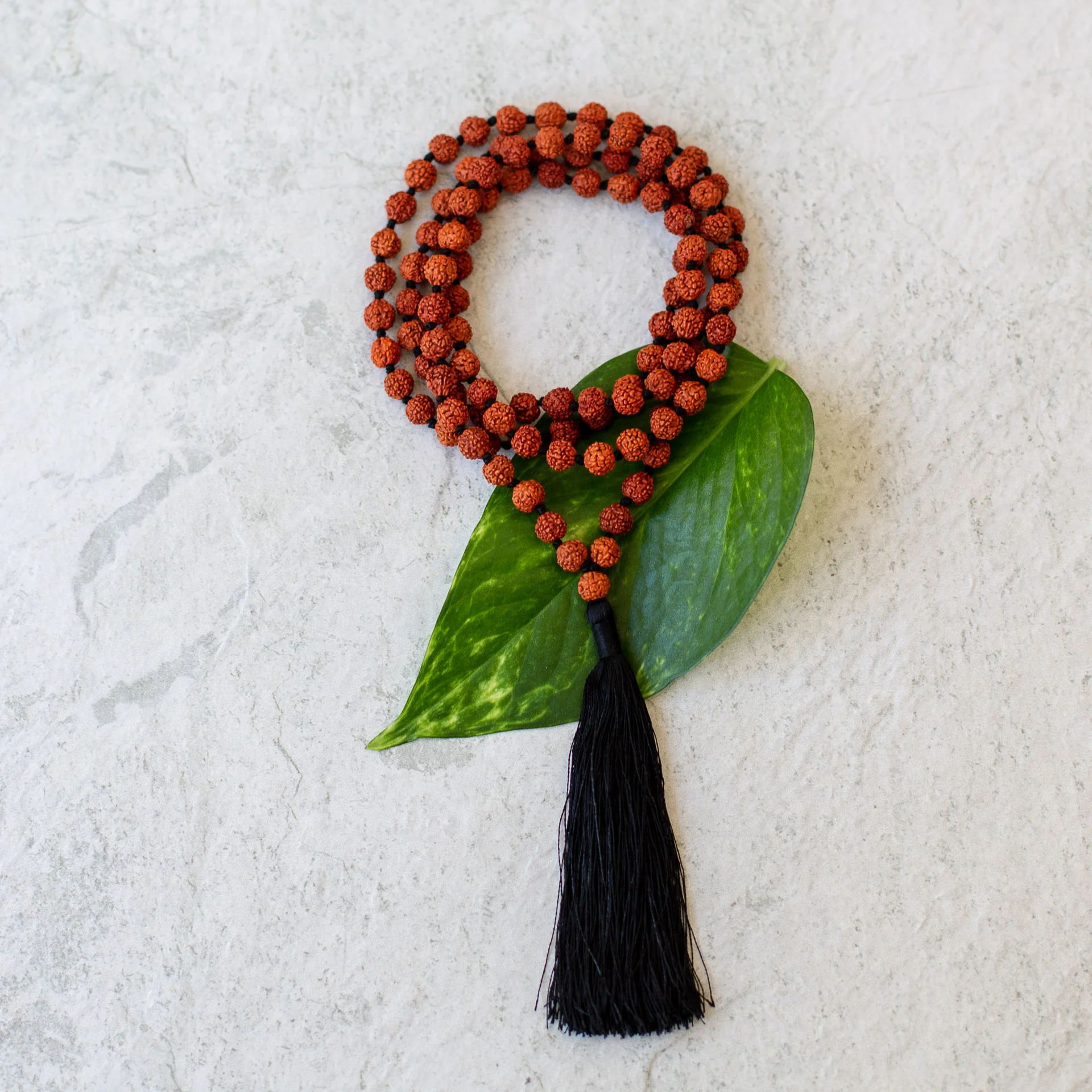 Malas_Aug18 (19 of 161).jpg