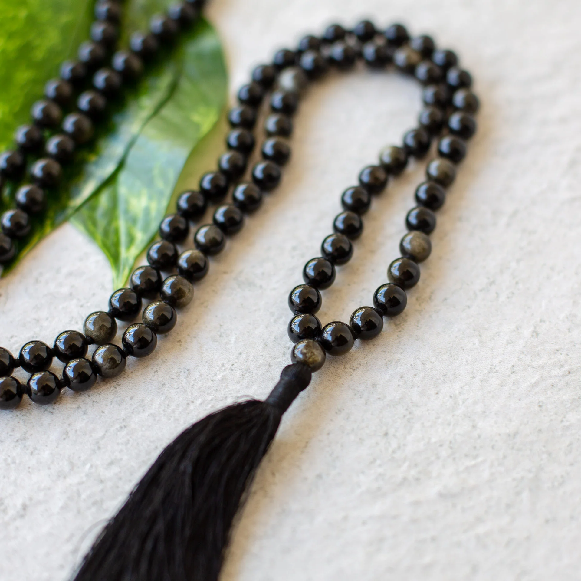 Malas_Aug18 (106 of 161).jpg
