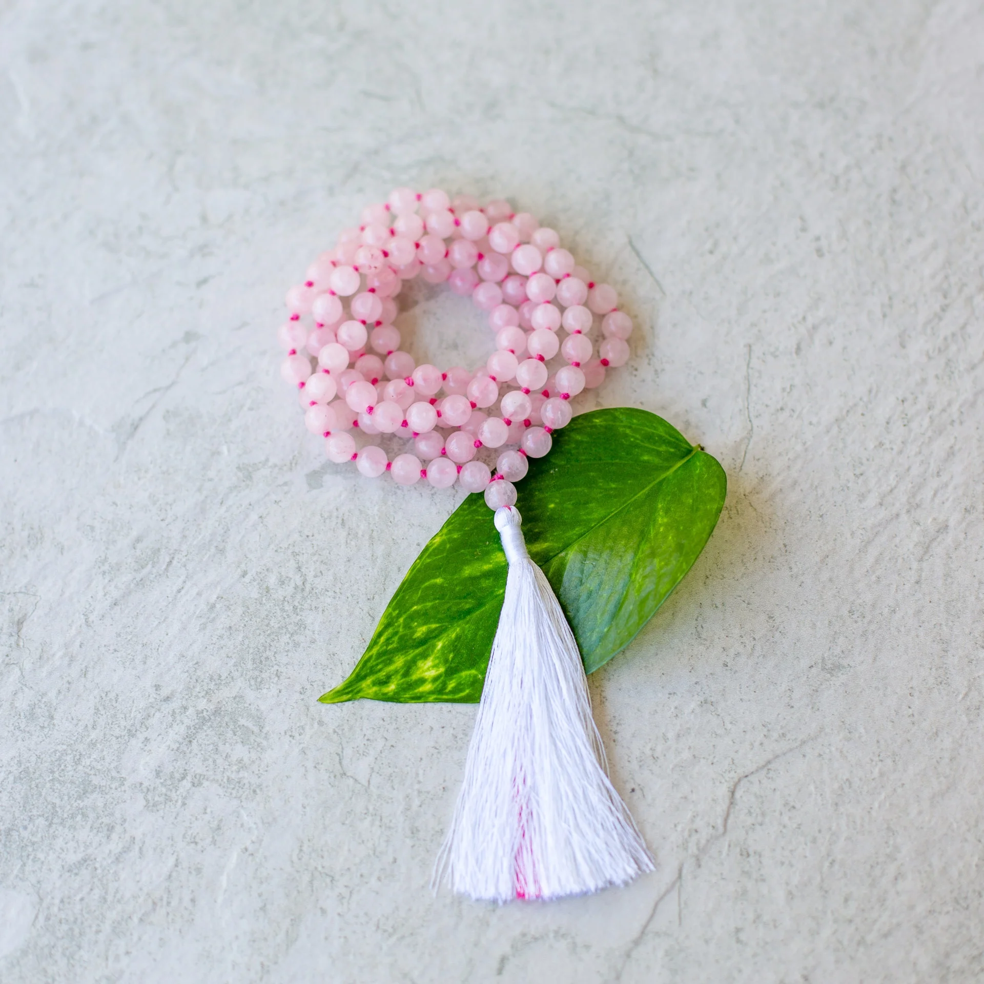 Malas_Aug18 (128 of 161).jpg