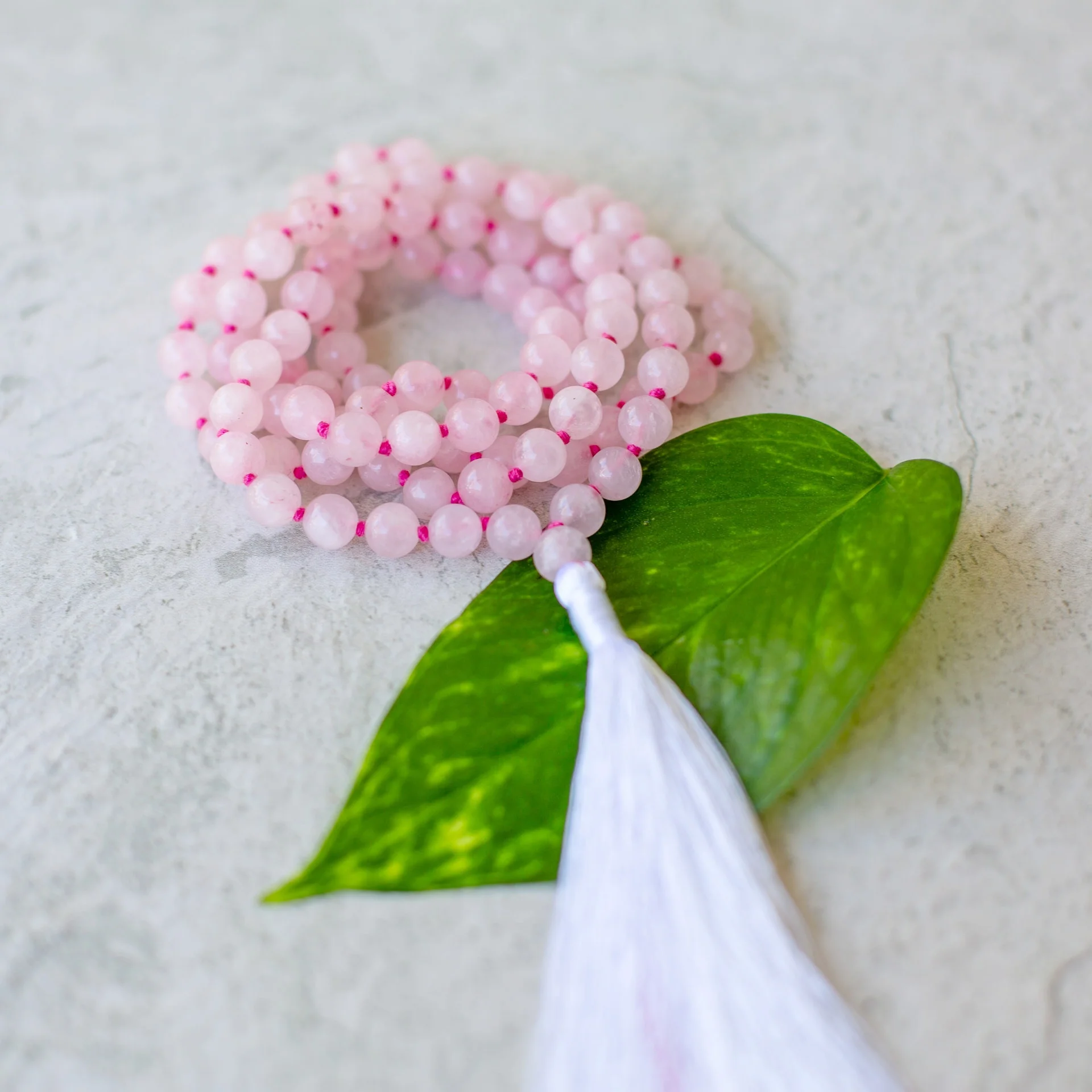 Malas_Aug18 (129 of 161).jpg