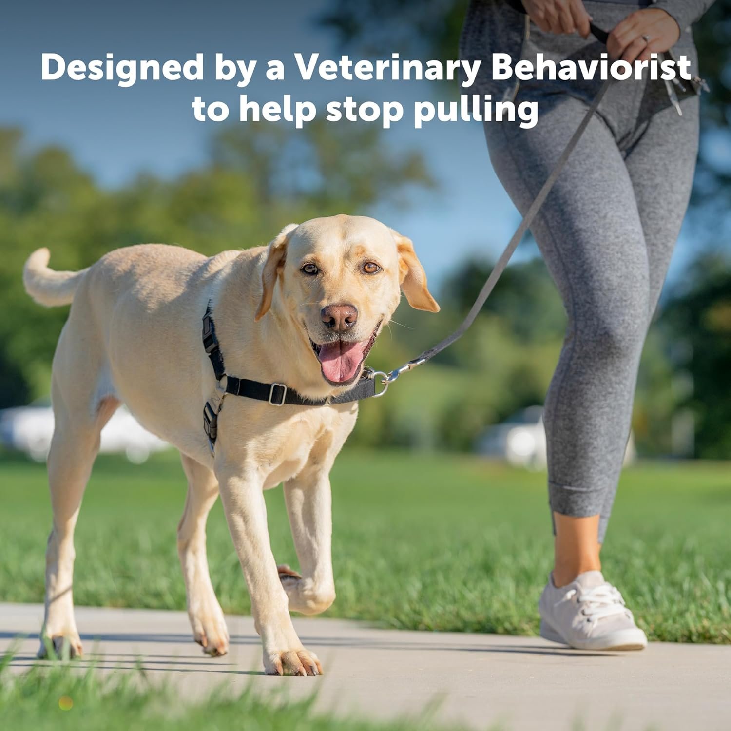  PetSafe Easy Walk No-Pull Dog Harness (Copy) (Copy) (Copy) (Copy)