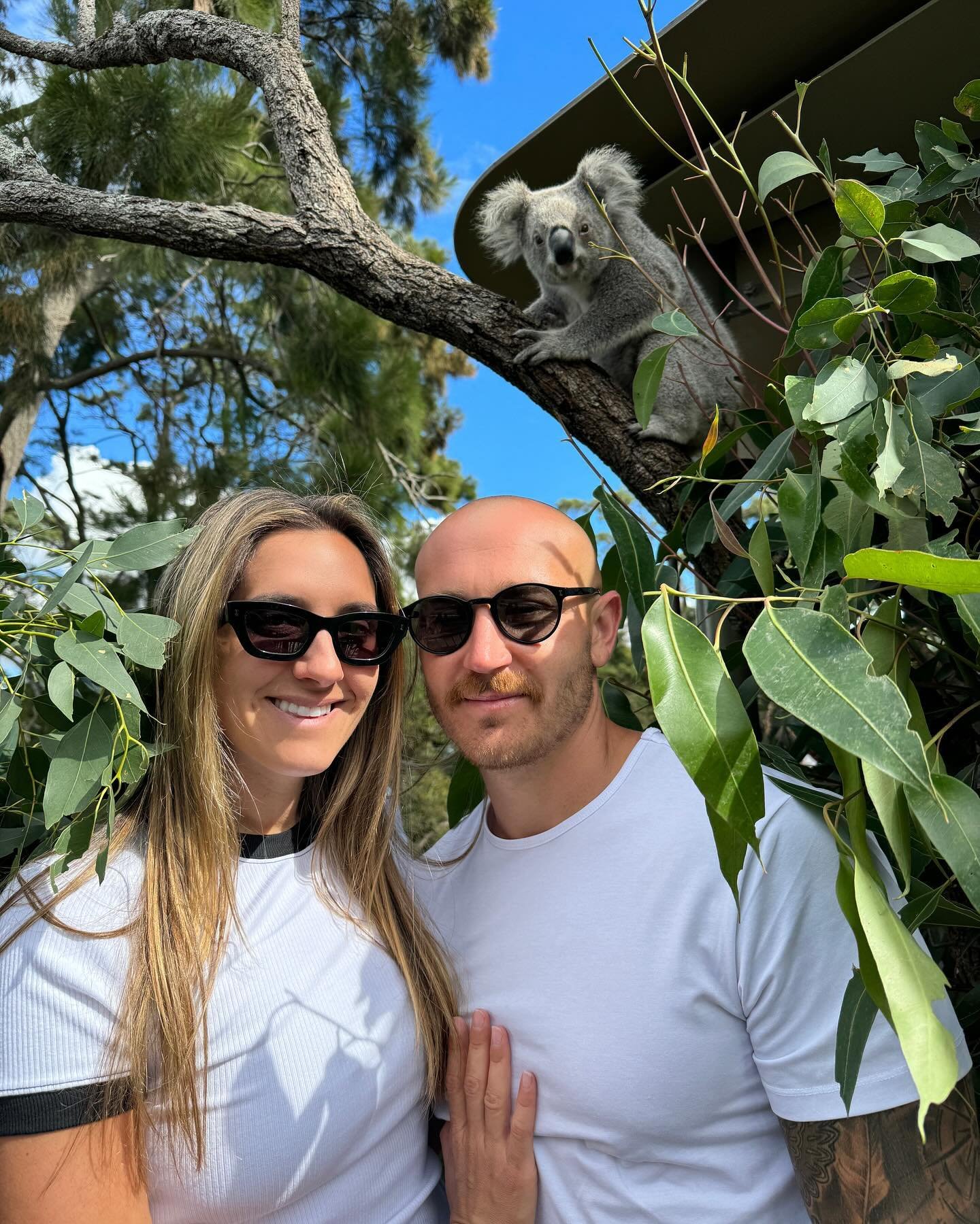 Some good days down under on our honeymoon 🐨&hearts;️🇦🇺 

Mini Guide To Australia!! 🗺️ 

1. Brisbane 
So livable &amp; walkable with lots of ☀️ Tons of waterfront walking trails and a perfectly sized city! 
🏨 Stay at the @thecalilehotel it&rsquo