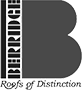 berridgeBW (1).png