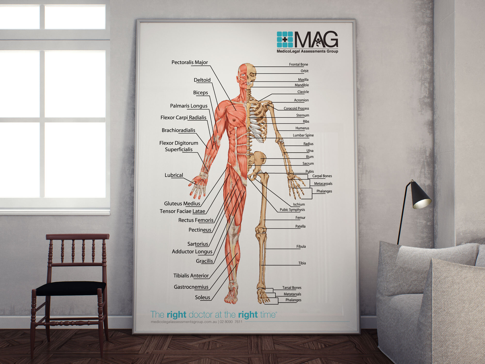 MAG-anatomy.jpg