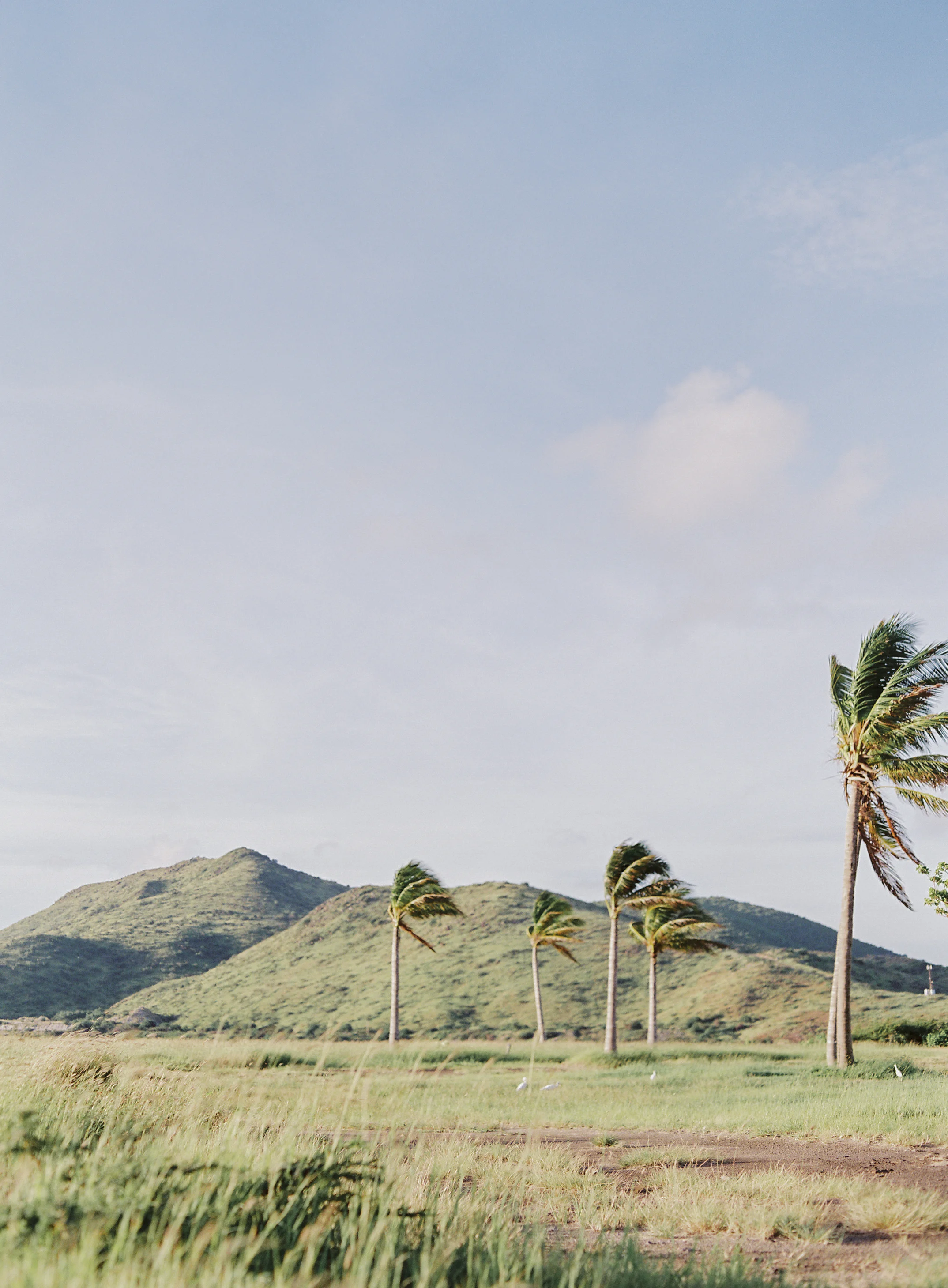 laura gordon - 123-lauragordonphotography_stkitts.jpg