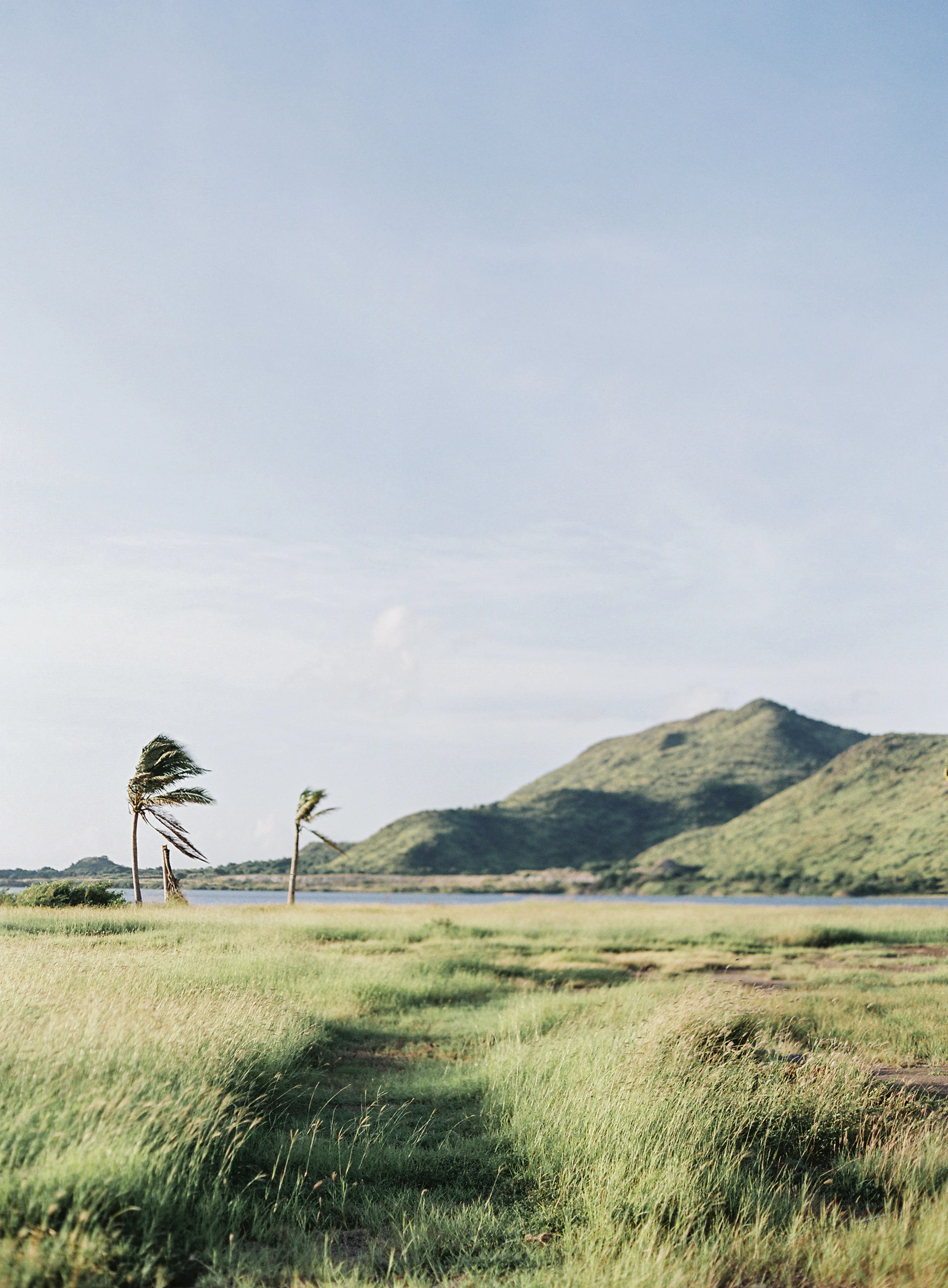 laura gordon - 124-lauragordonphotography_stkitts.jpg