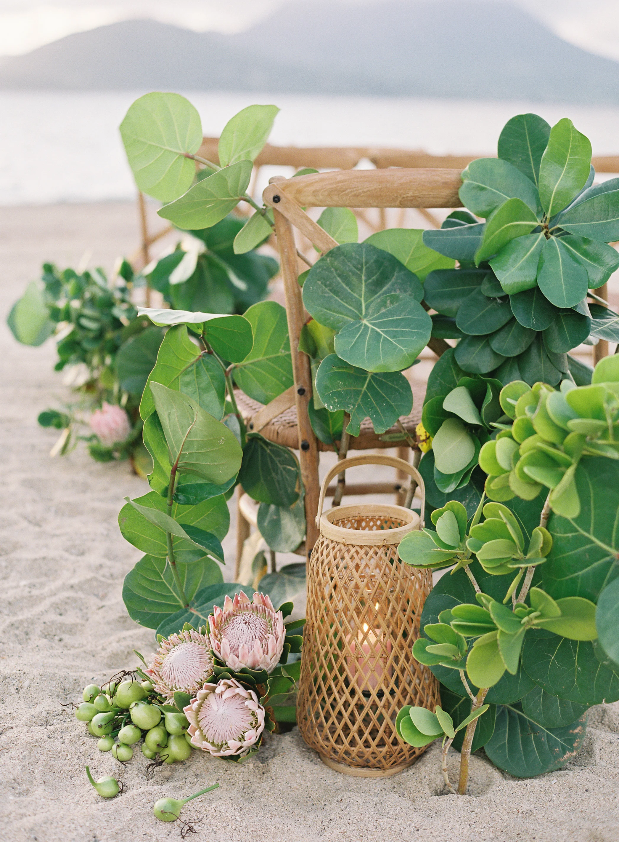 laura gordon - 380-lauragordonphotography_stkitts.jpg
