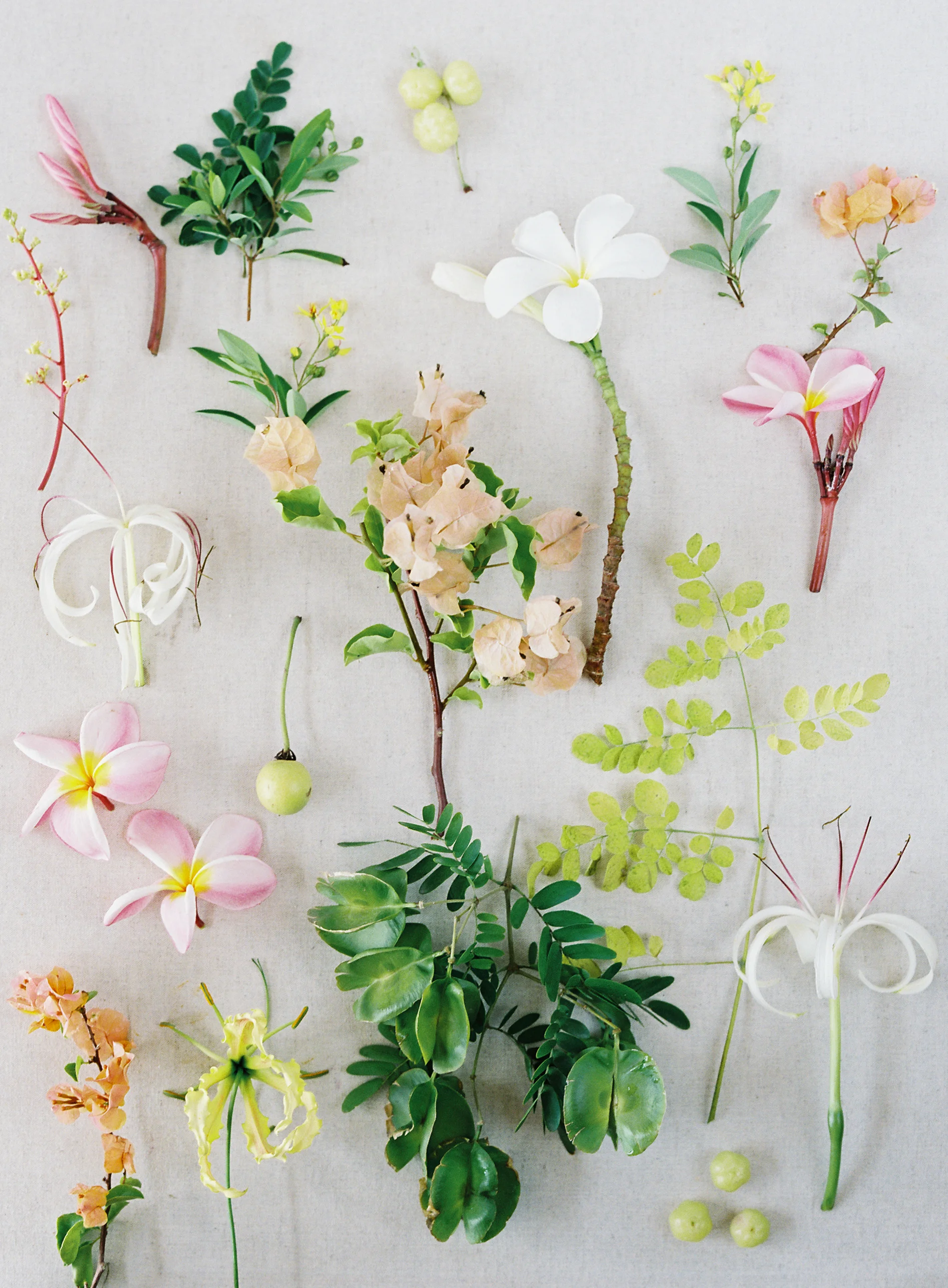 laura gordon - 653-lauragordonphotography_stkitts.jpg